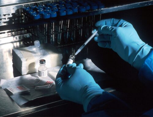 X fragile : diagnostic (méthode recommandée par les Généticiens)